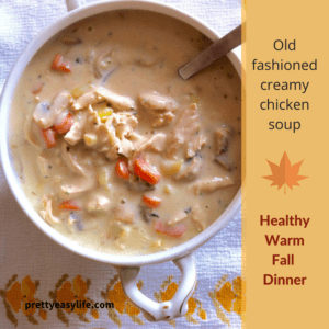 old fashioned creamy chicken soup