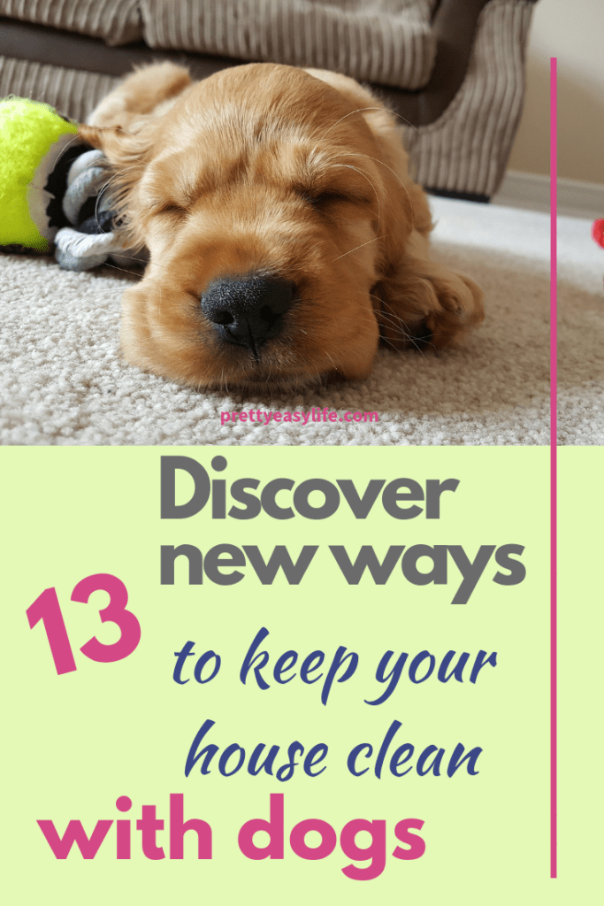 Discover 13 new ways to keep your house clean with dogs