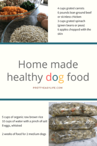 Home made healthy dog food