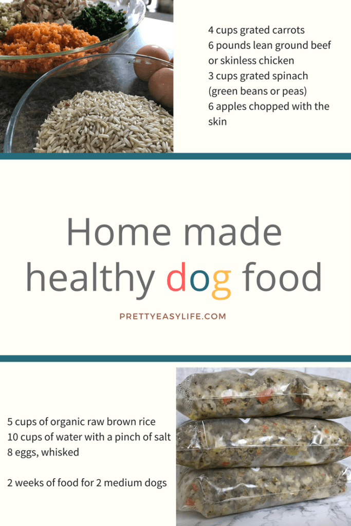 Home made healthy dog food