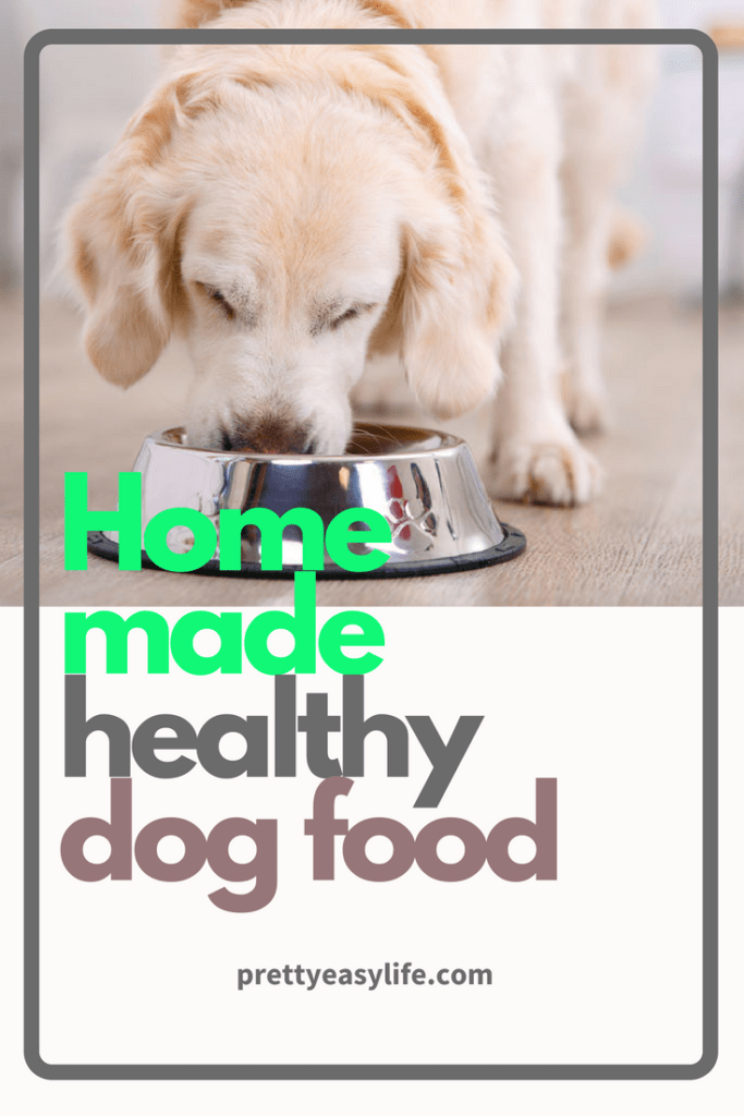 home made healthy dog food