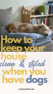 How to keep your house clean and styled when you have dogs