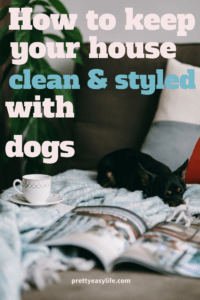 How to keep your house clean and styled when you have dogs