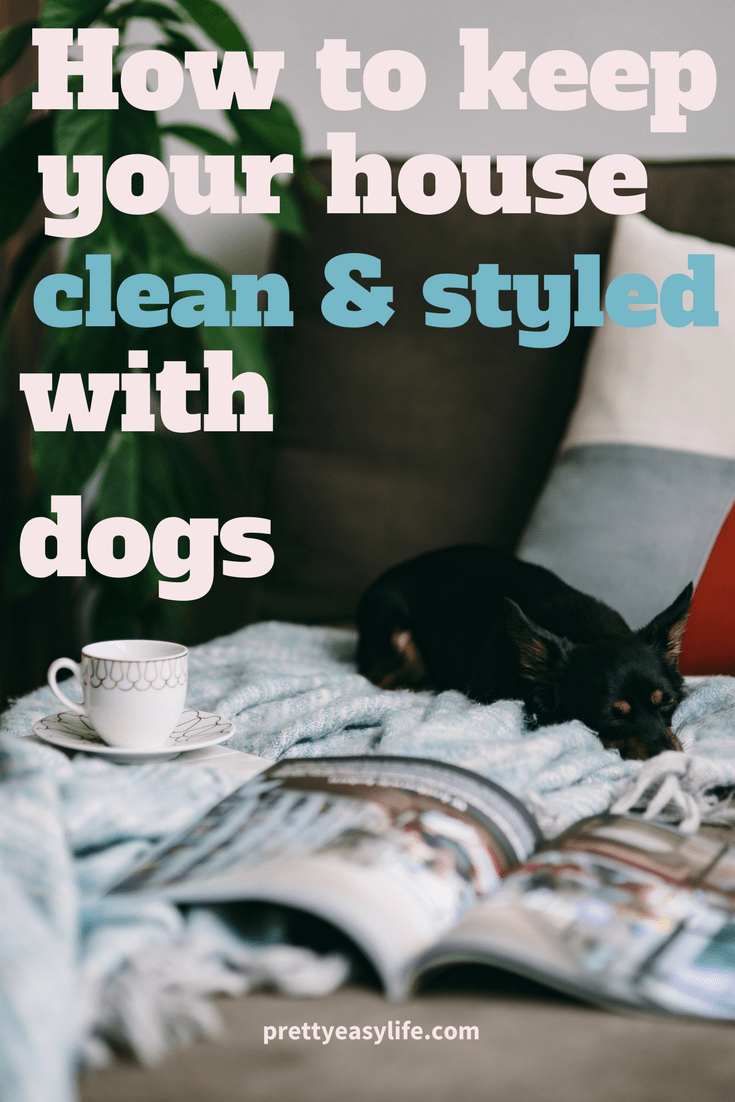 How to keep your house clean with dogs