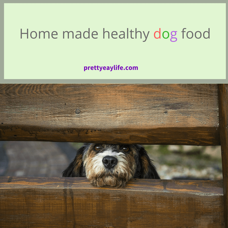 home made healthy dog food