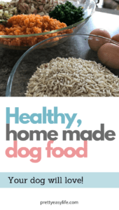 healthy home made dog food