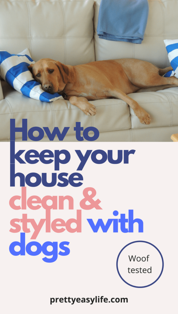 how to keep your house clean when you have dogs