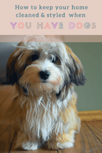 How to keep your home cleaned & styled when you have dogs # clean house with dogs