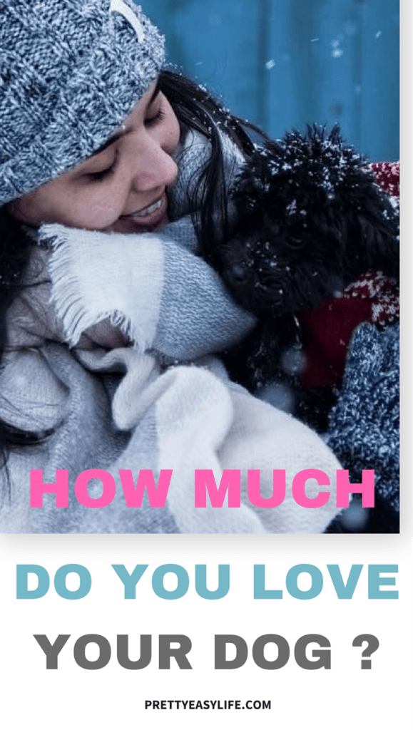 How much do you love your dog - 10 ways to give all this love back to him