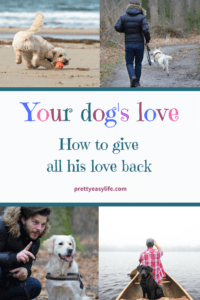 your dog's love - How to give all his love back