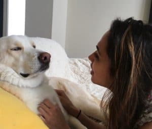 10 ways to give your dog the love that he gives you