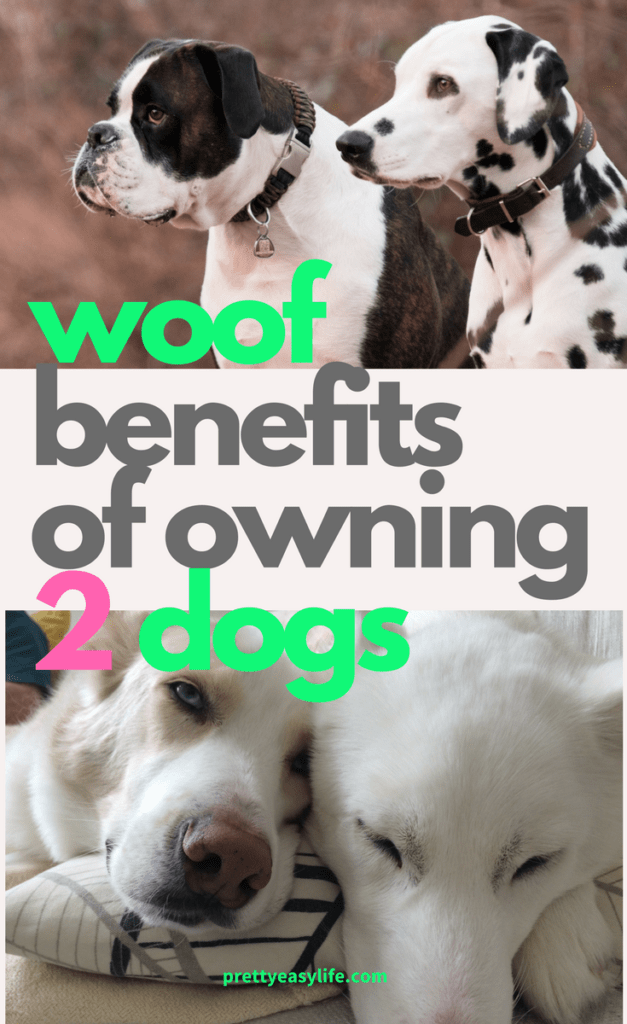 woof benefits of owning 2 dogs