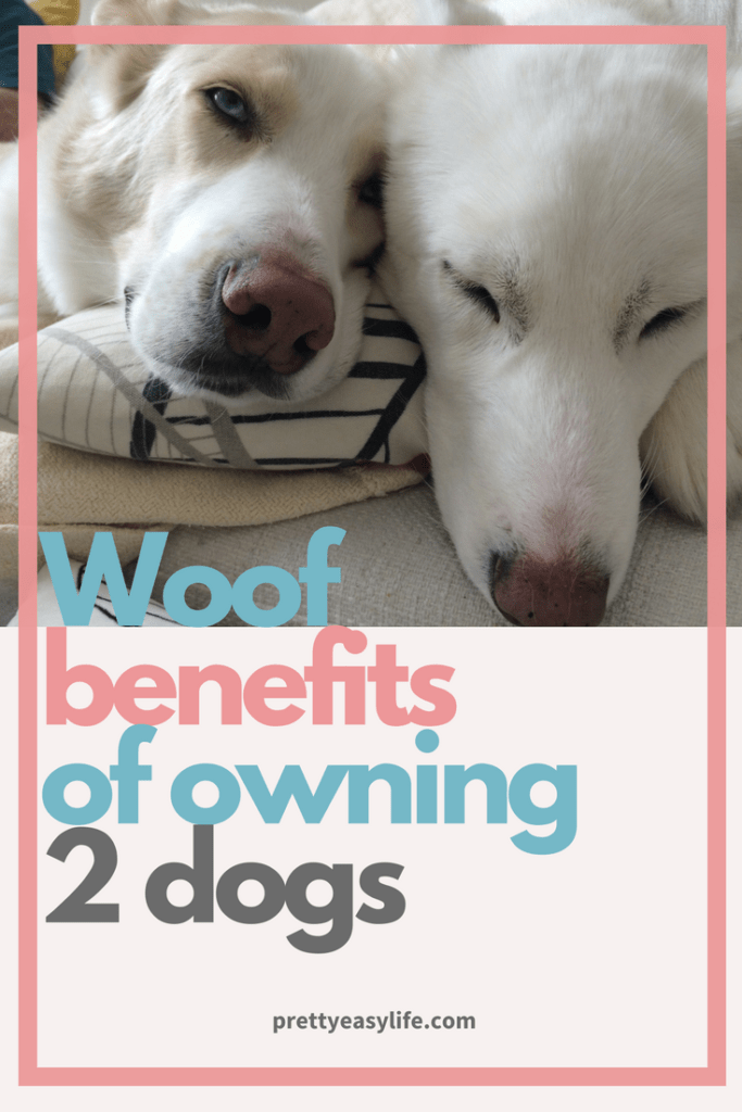 woof benefits of 2 dogs