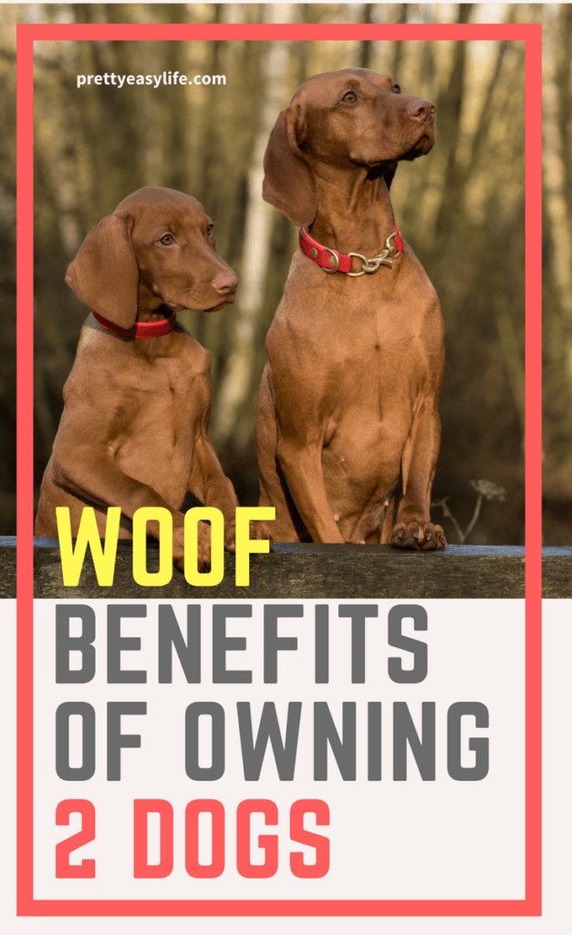 woof benefits of owning 2 dogs