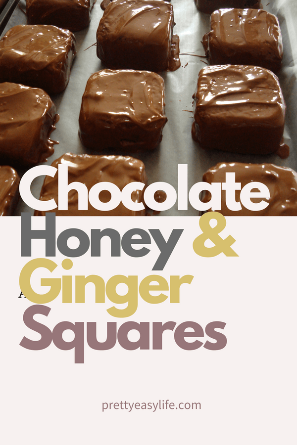 chocolate, honey and ginger squares