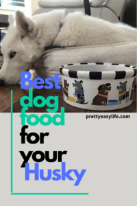 what is the best food for huskies