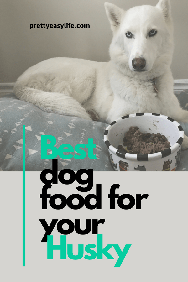 best dog food for husky