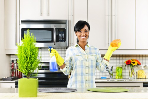 Keep Procrastinating to Clean your House? Tips to Solve it