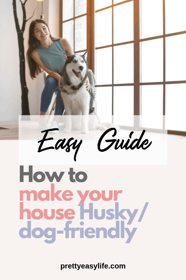 Easy guide on how to get your house ready for your Husky or any other dog
