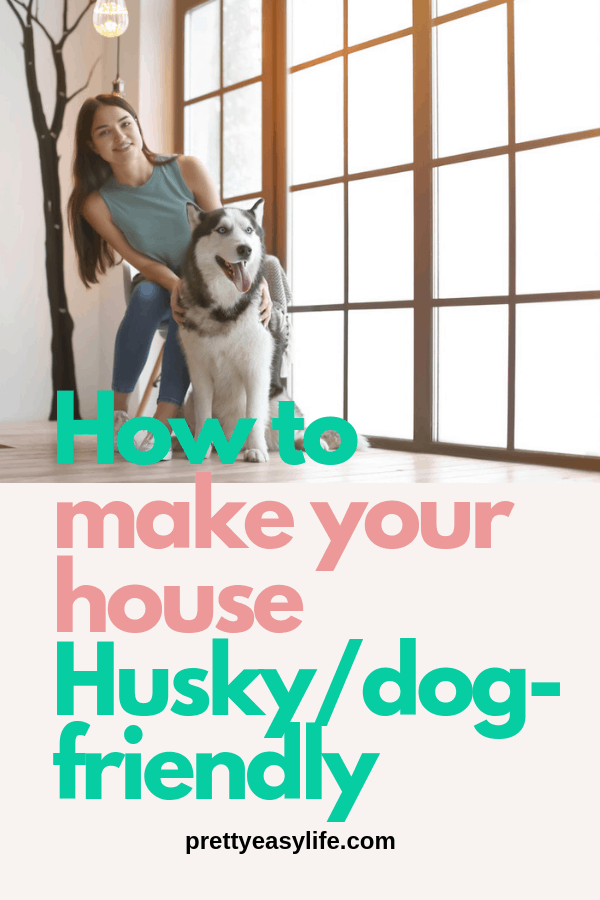 How to make your house Husky_dog-friendly