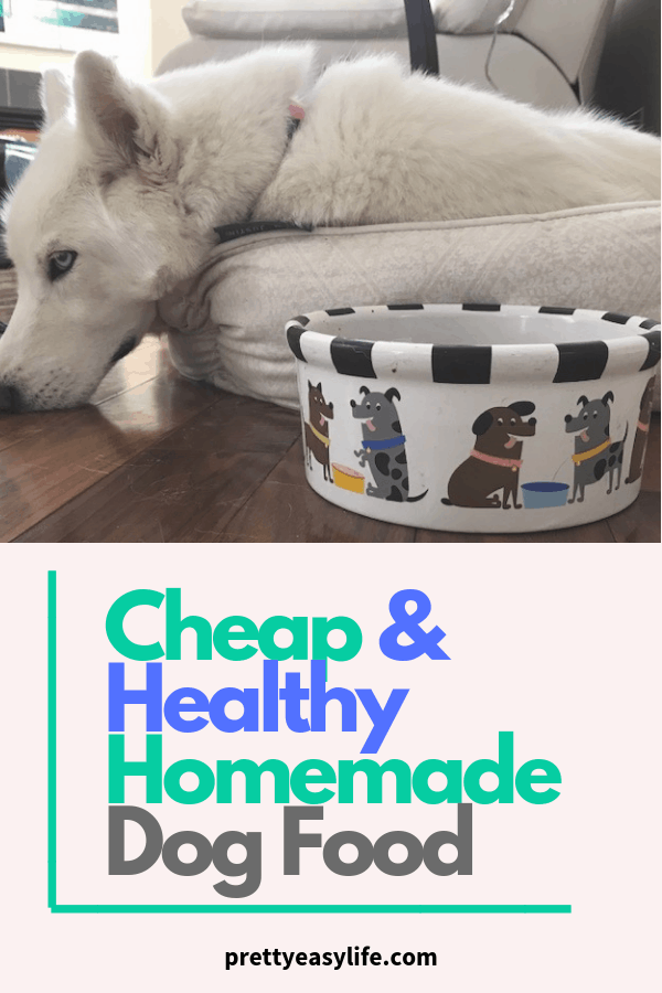 Cheap and healthy homemade dog food that your dog will love