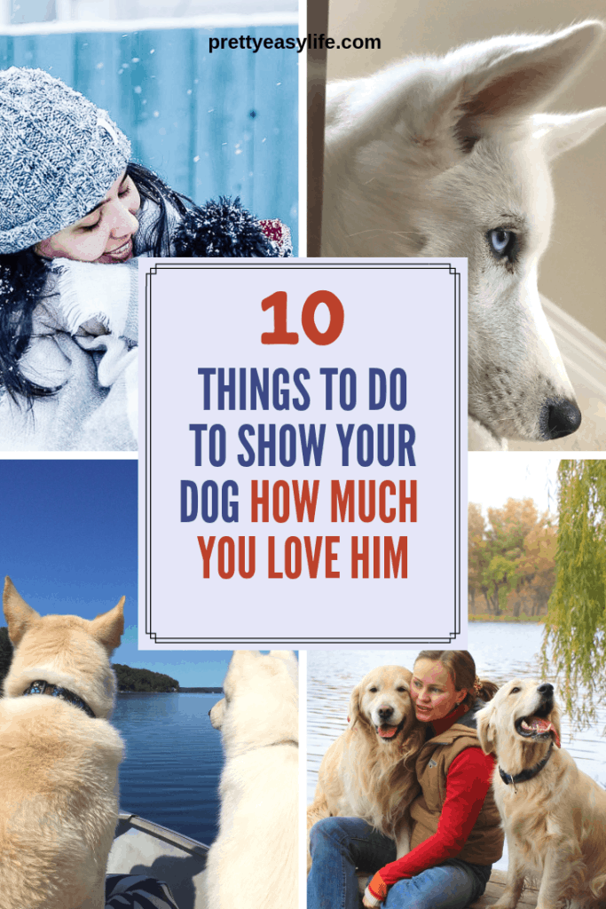 10 things to do to show your dog how much you love him