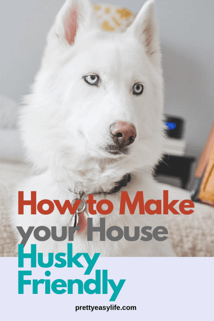 How to get your house ready for your Husky or new dog