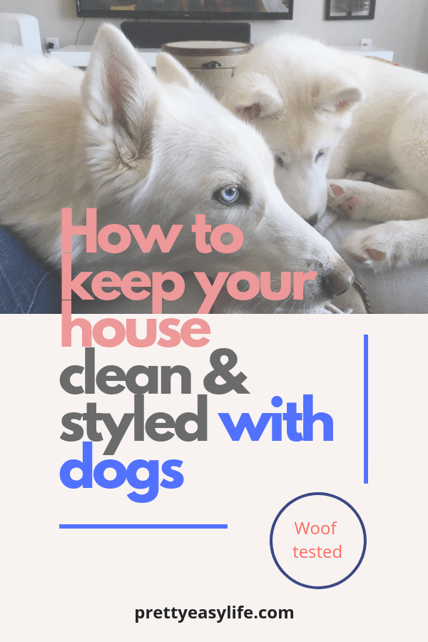 how to keep your house clean with dogs