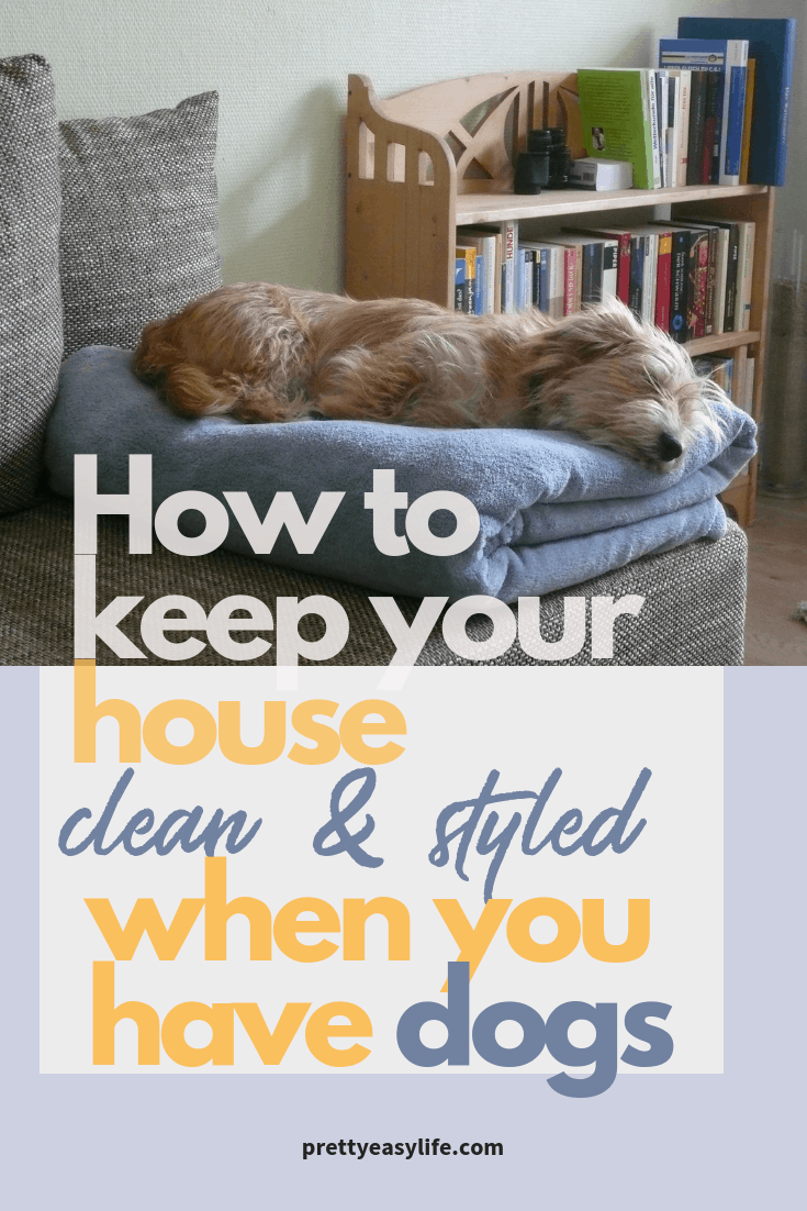 How to keep your house clean with dogs
