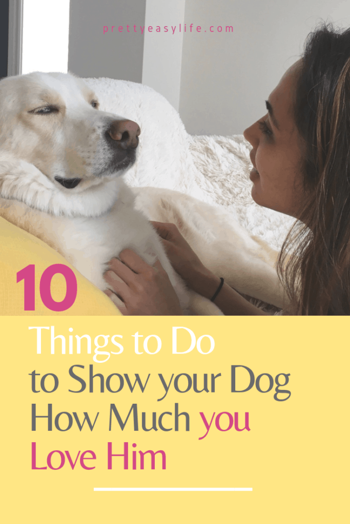 things to do to show your love to your dog